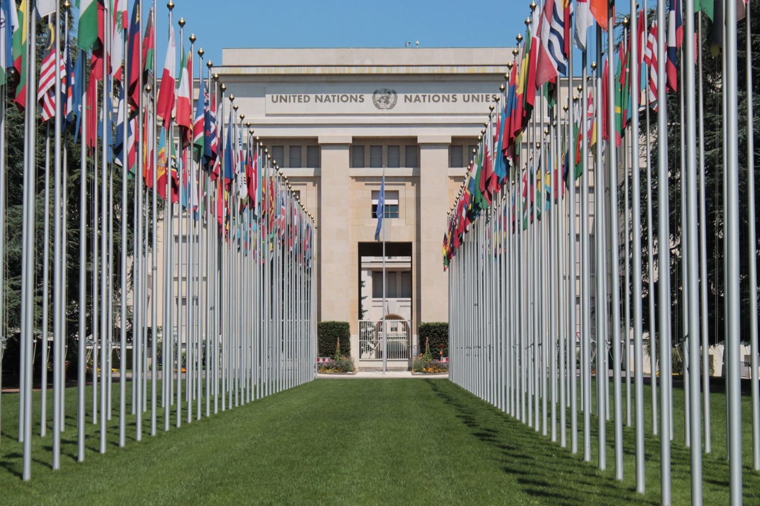 International Youth Day, Geneva, and GLM