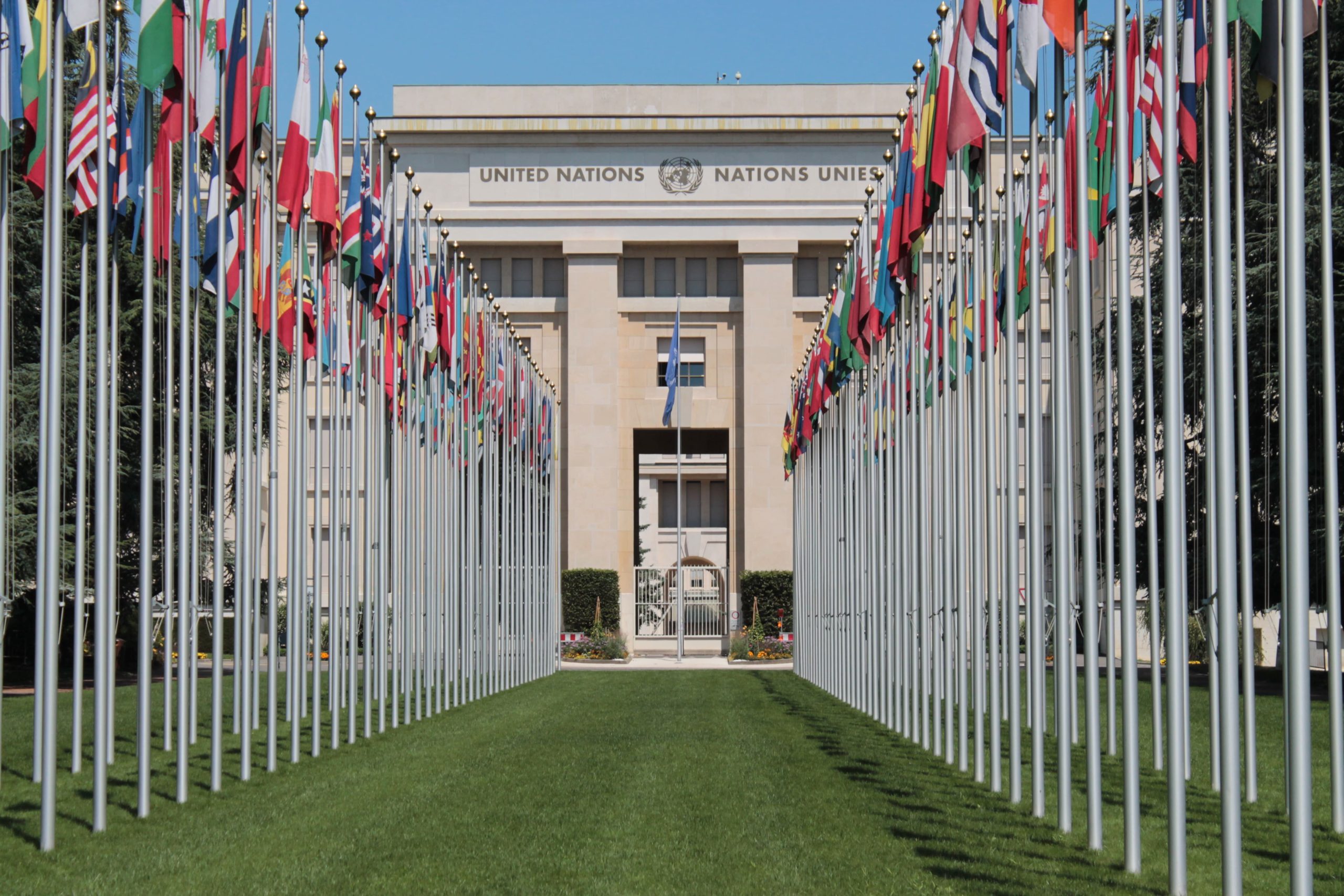 International Youth Day, Geneva, and GLM